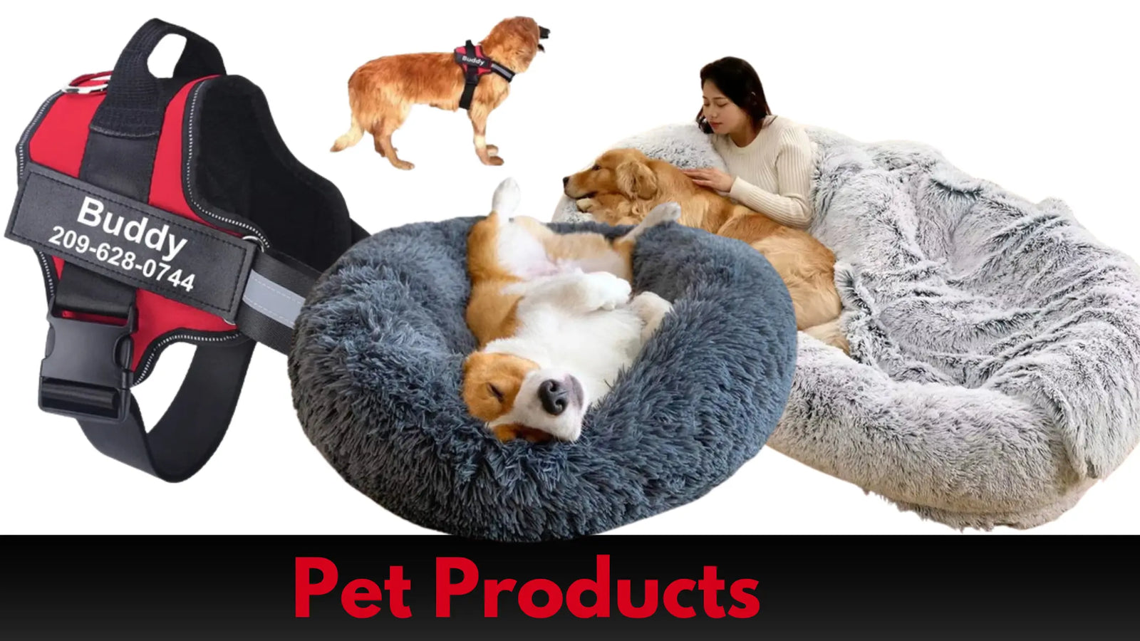 Vet-Approved Tips for First-Time Dog Parents: A Must-Read Guide Anodic Products