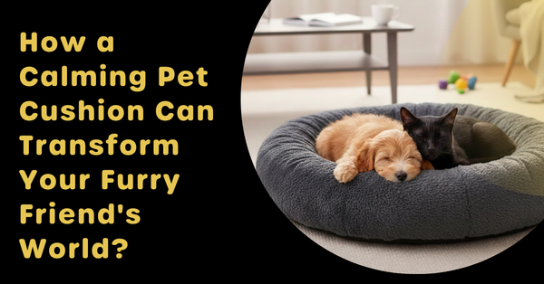 How a Calming Pet Cushion Can Transform Your Furry Friend's World