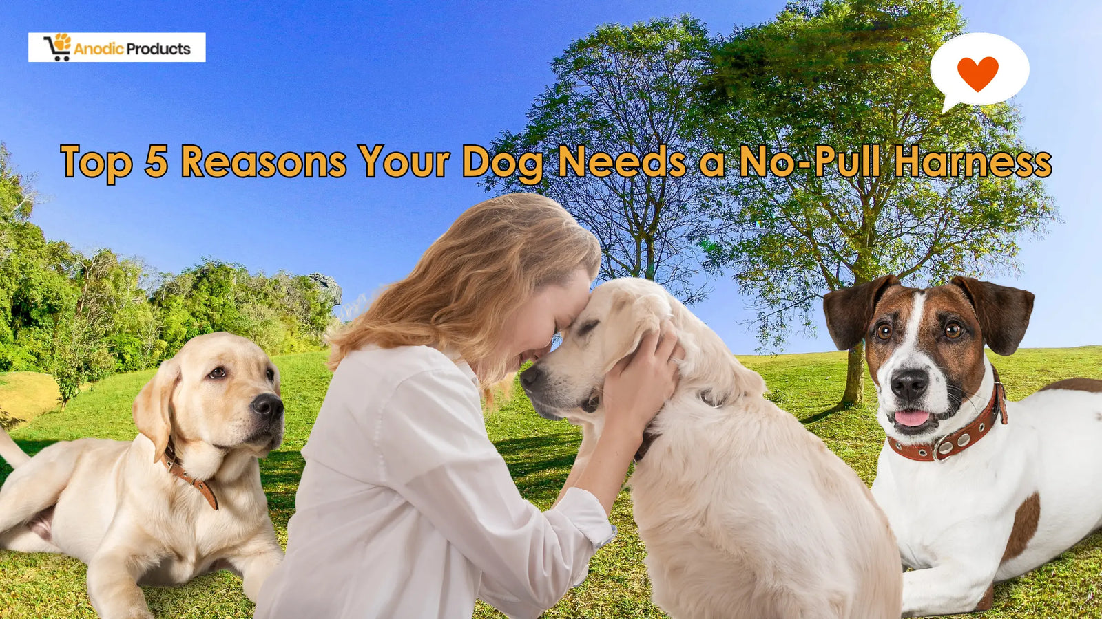 Top 5 Reasons Your Dog Needs a No-Pull Harness Anodic Products