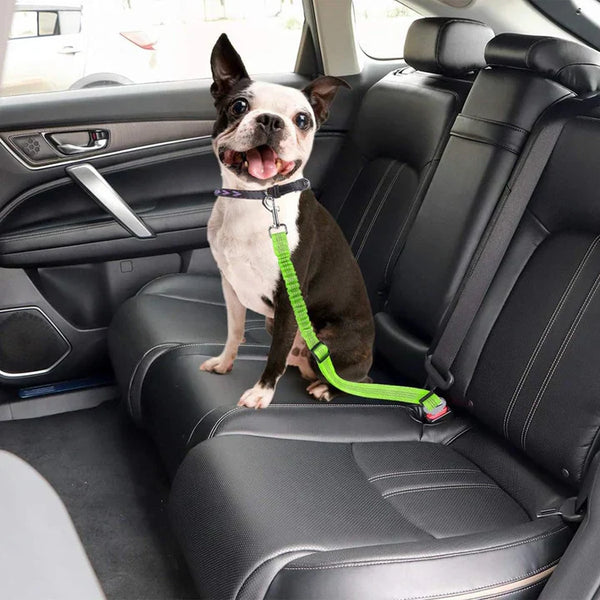 Pet Seat Belt Leash: Keep Your Dog Safe and Secure on Every Car Ride