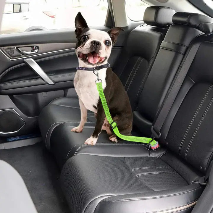 Pet Seat Belt Leash: Keep Your Dog Safe and Secure on Every Car Ride Anodic Products