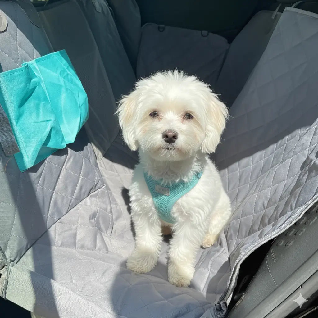 Ultimate Dog Travel Hammock: The Safer, Calmer Way to Travel With Your Dog
