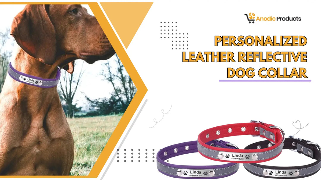 Top Reflective Dog Collars for Evening Walks: Keep Your Pup Safe and Stylish