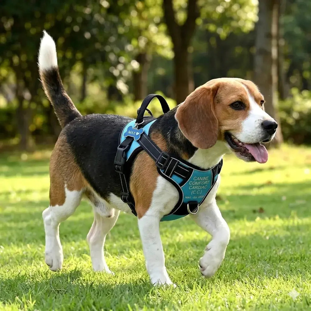 Personalized Canine Comfort Harness | Safe, Stylish & Custom Dog Harness Anodic Products