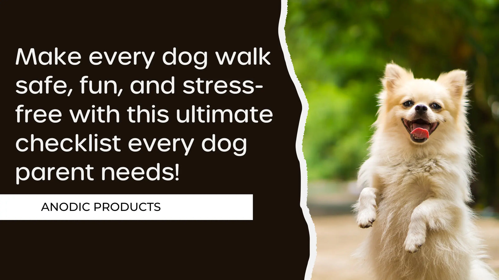 The Ultimate Dog Walking Checklist for Safe and Happy Dogs Anodic Products