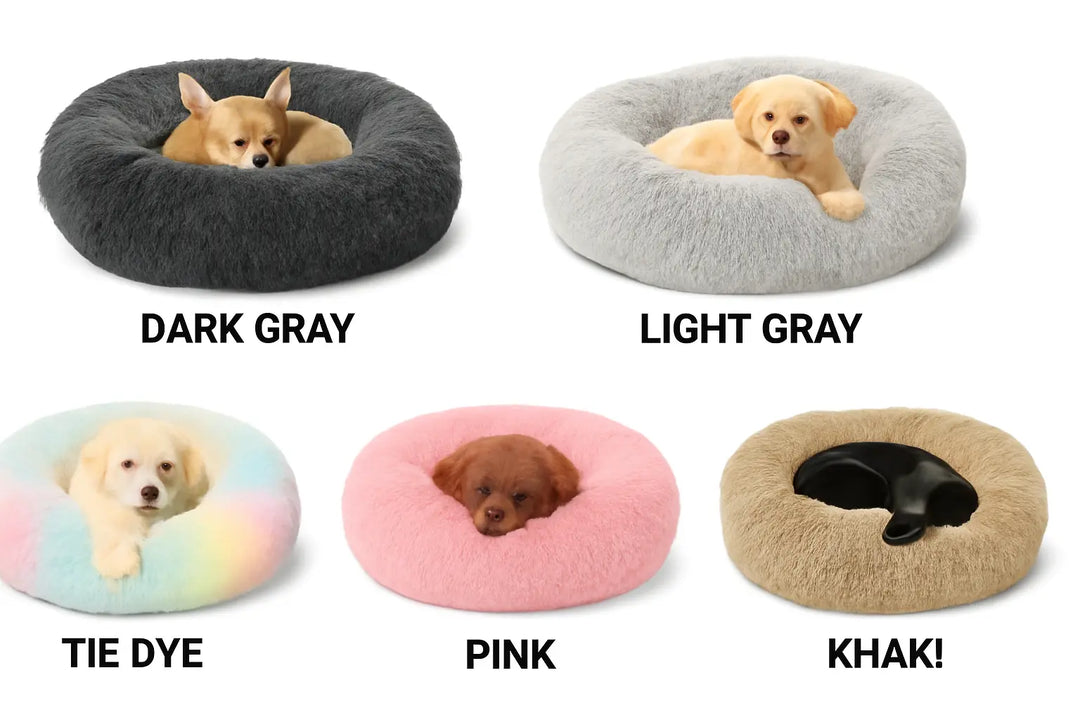 5 Signs Your Pup Needs a Calming Bed (and How to Choose the Right One)