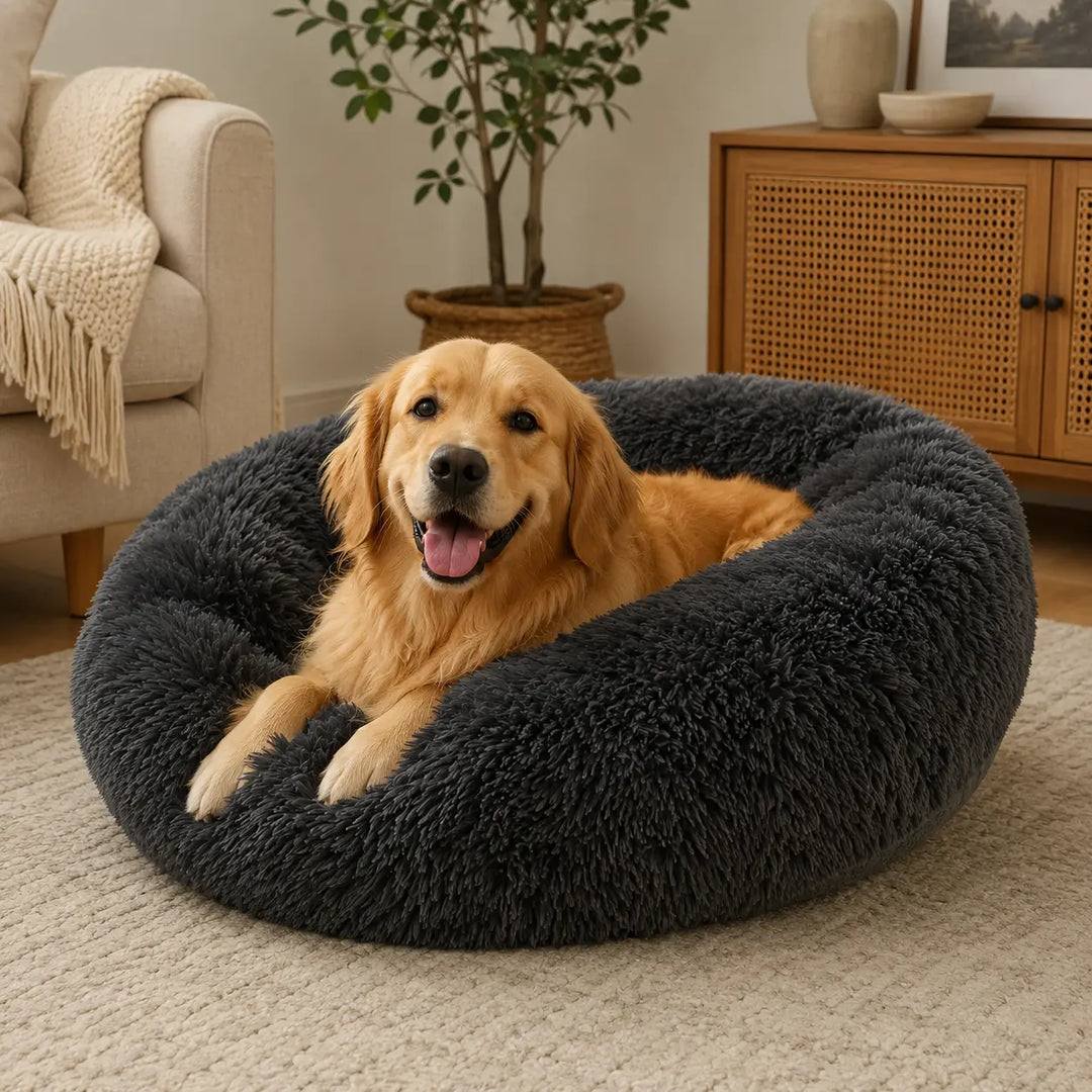 Why Dogs Love Calming Beds (Science Explained)