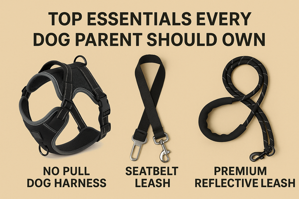 Top Essentials Every Dog Parent Should Own