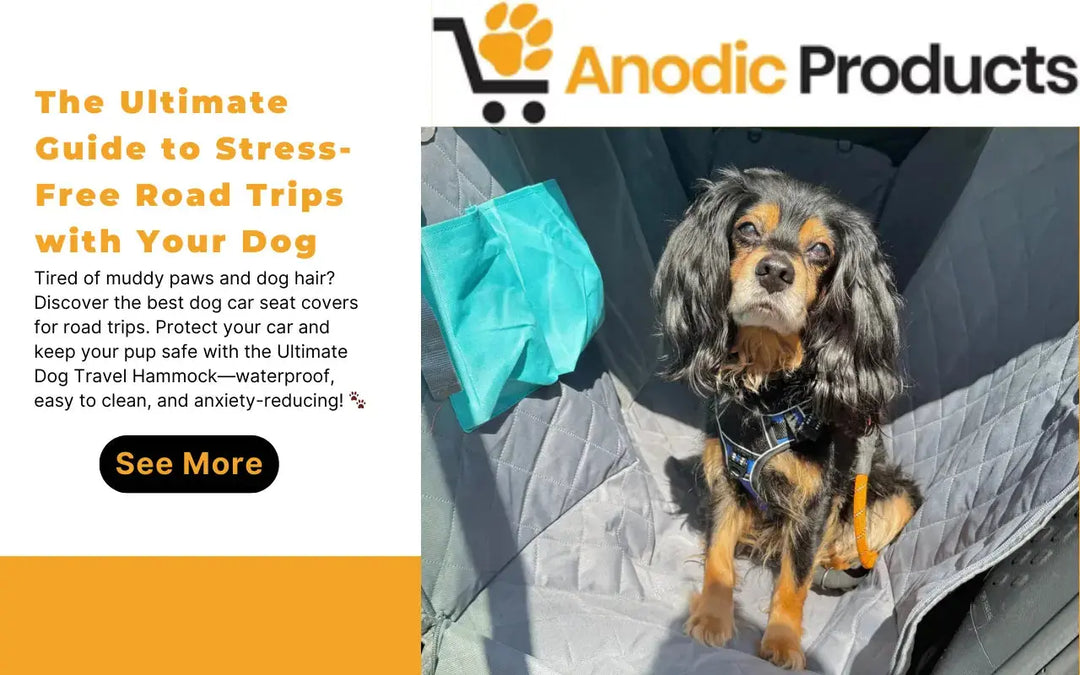 How to Clean a Dog Car Seat Cover: The Ultimate Maintenance Guide