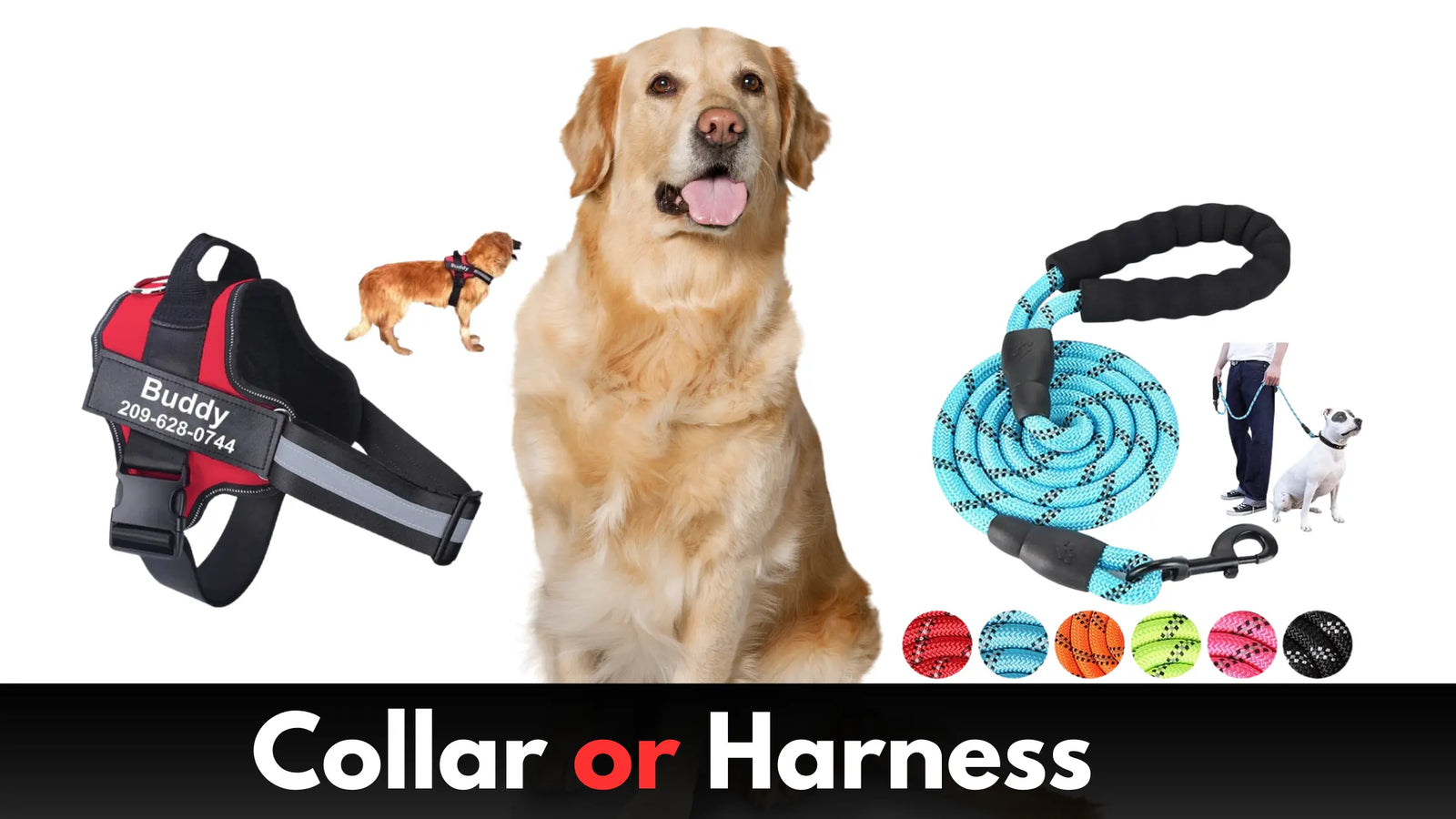 Common Dog Walking Mistakes to avoid, How to Avoid Them Anodic Products