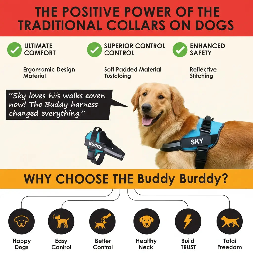 Personalized No Pull Dog Harness | Safe, Comfortable & Pain-Free Walks