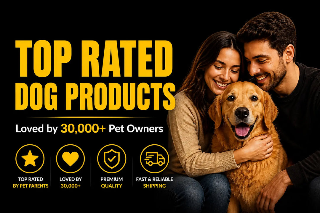 Top Rated Dog Products Loved by 30,000+ Pet Owners