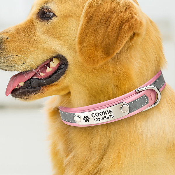 Why Every Dog Owner Needs a Personalized Reflective Leather Collar