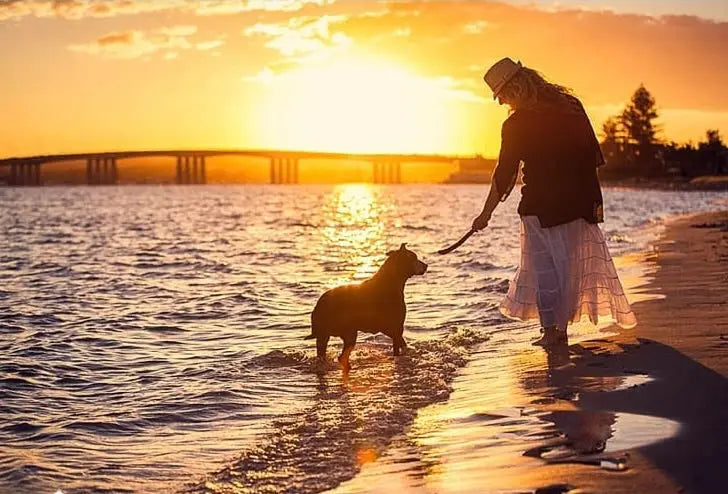 Paws, Summer & Play Collection