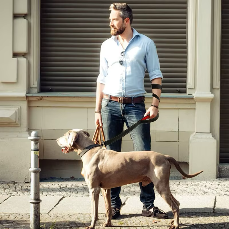 Personalized No Pull Dog Harness