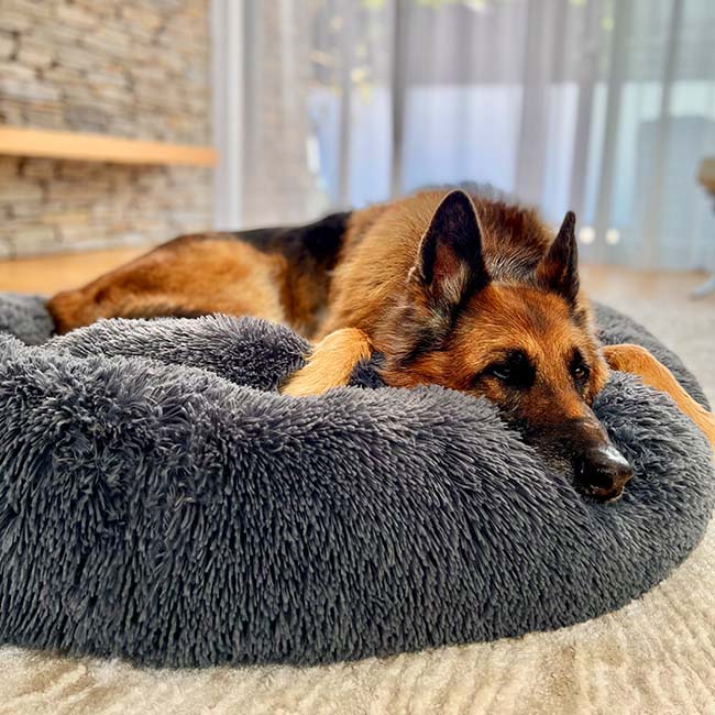 Anti Anxiety Calming Dog Bed