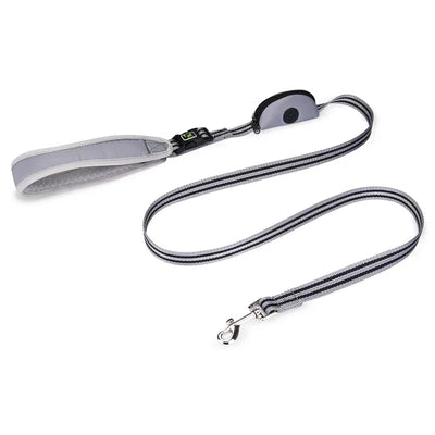 PupRun Nylon Leash