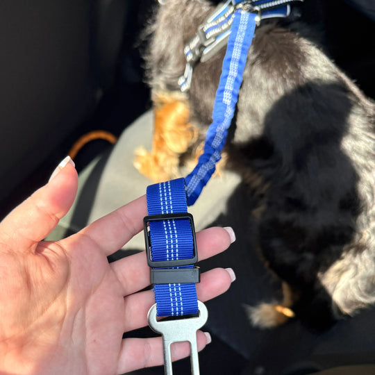 Pet Seat Belt Leash Anodic Products