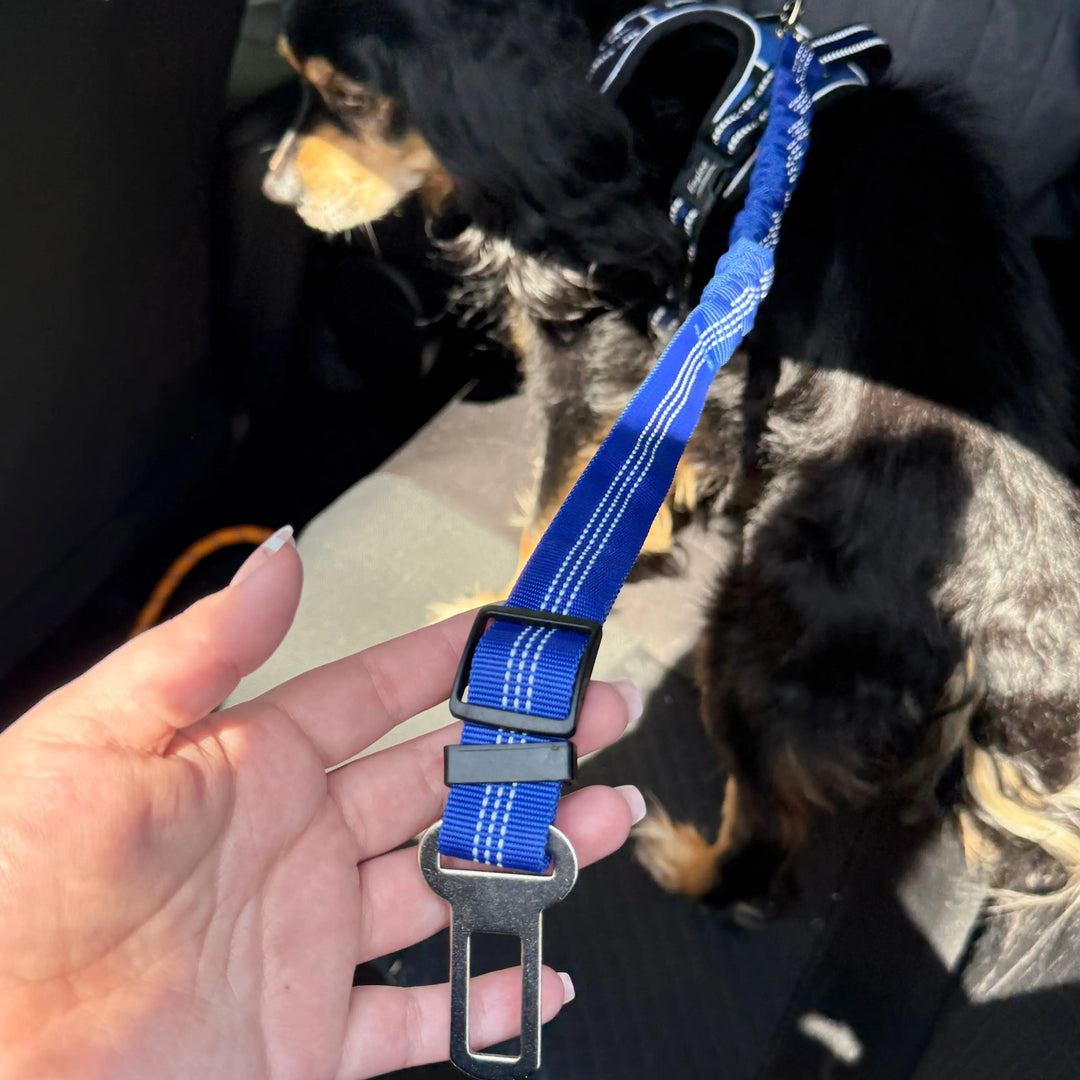 Pet Seat Belt Leash Anodic Products