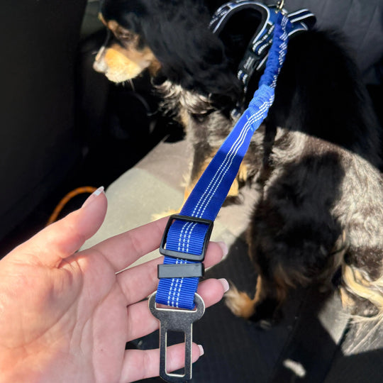 Pet Seat Belt Leash Anodic Products