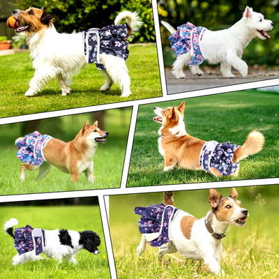 ChicPet Adjustable Doggy Diapers