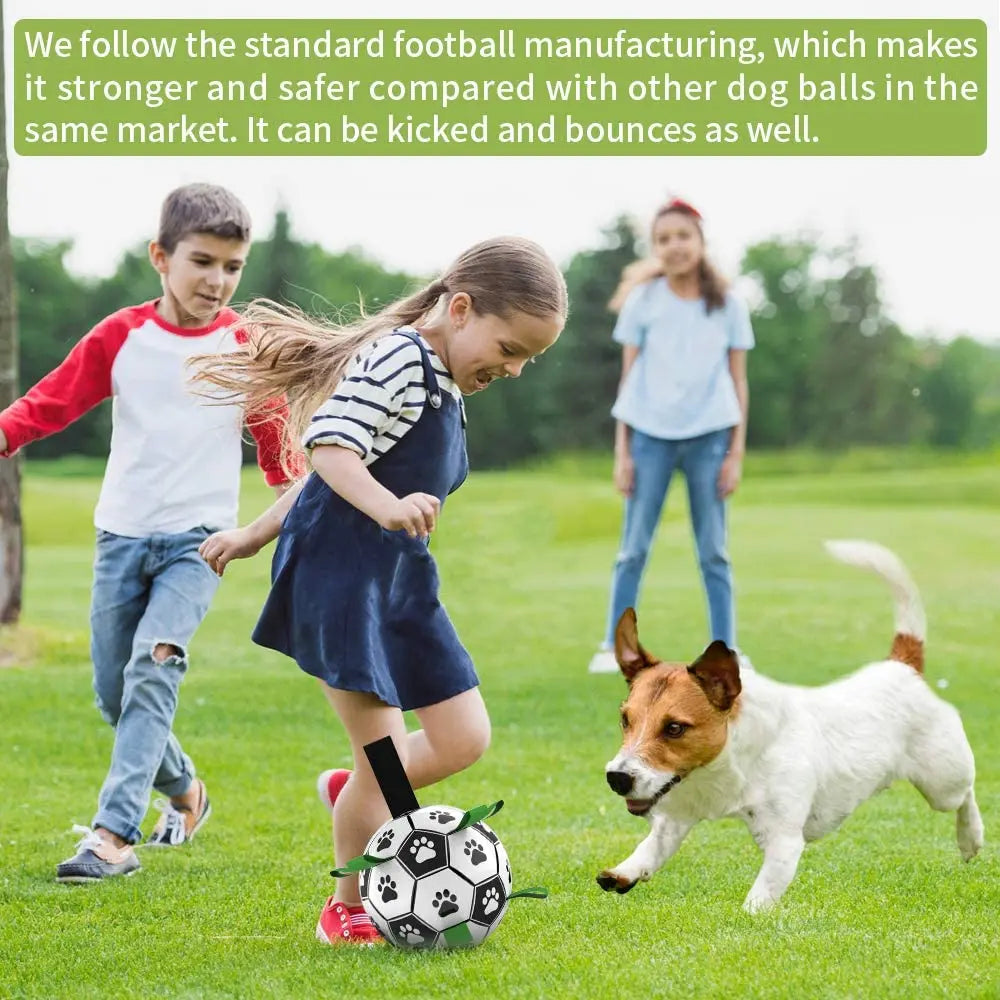 Interactive soccer toy for dogs