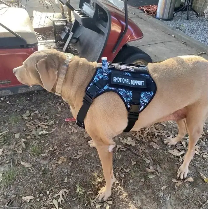 Dog Harness Vest,
custom style dog harness,
buckles on chest