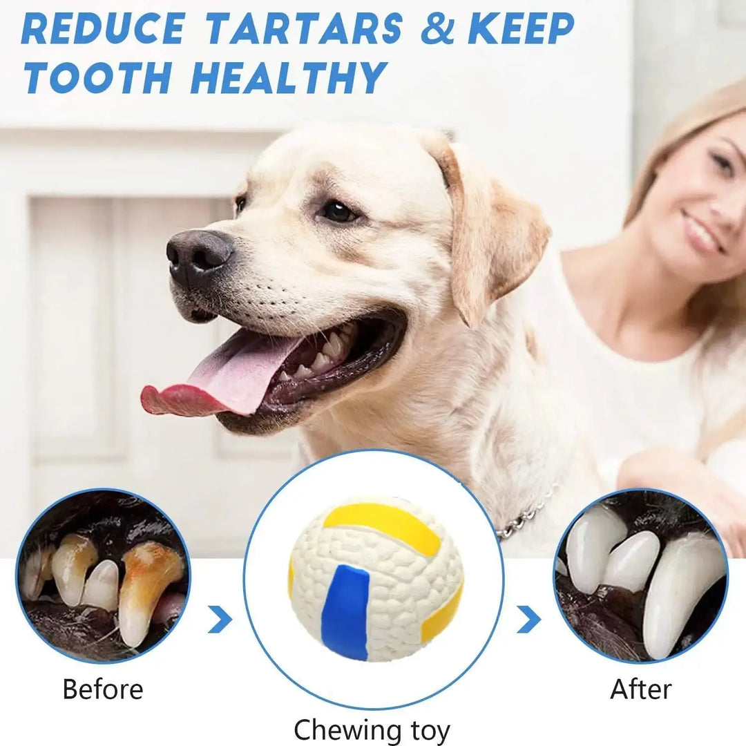 Strong rubber dog ball with squeaky sound