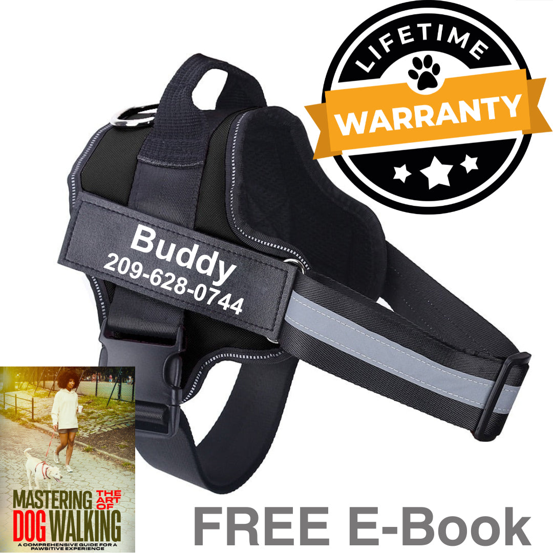 Shop Personalized No Pull Dog Harness Safe Walks Anodic Products