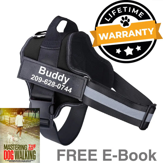 black no pull dog harness