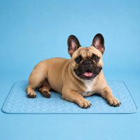 ChillPaws Cooling Mat