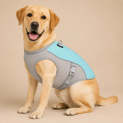 Summer Dog Cooling Vest