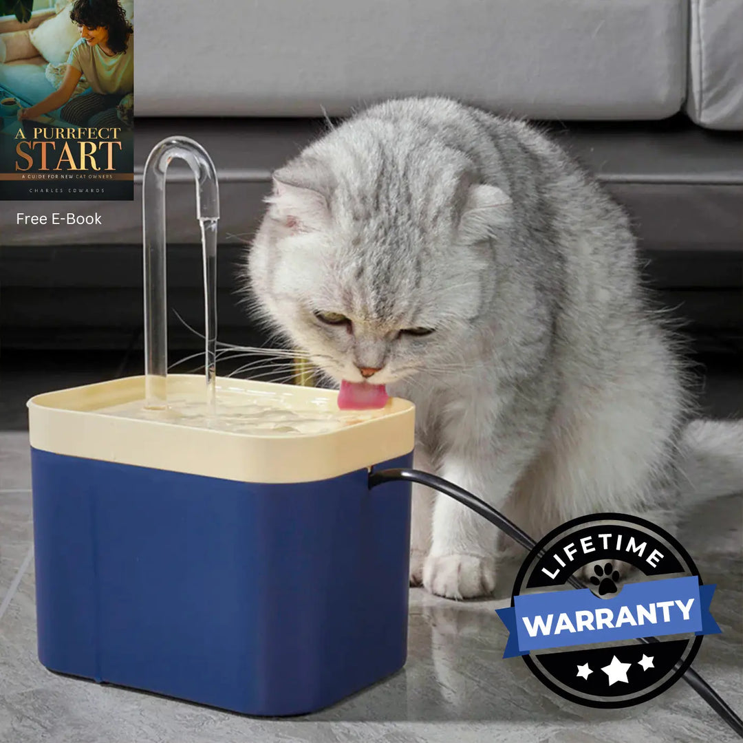 Veterinarian Approved Cat Drinking Fountain

