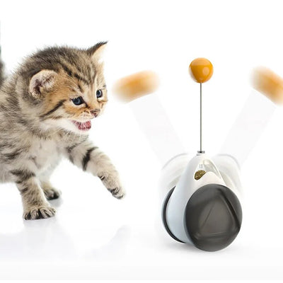 Bouncy ball with self-rotating movement