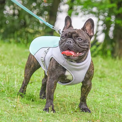 Lightweight vest to keep my dog cool in heat