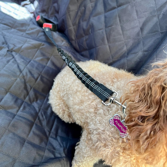 Pet Seat Belt Leash Anodic Products
