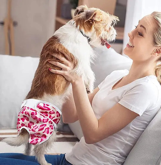  best dog diapers for pee