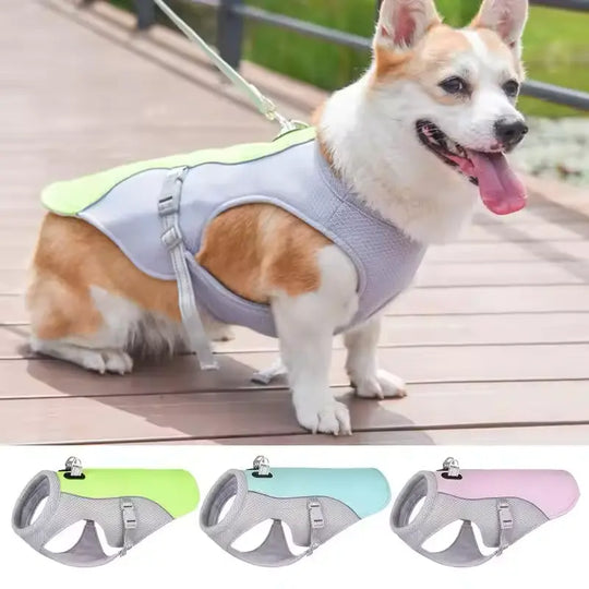 Dog cooling vest for summer walks, available in different colors