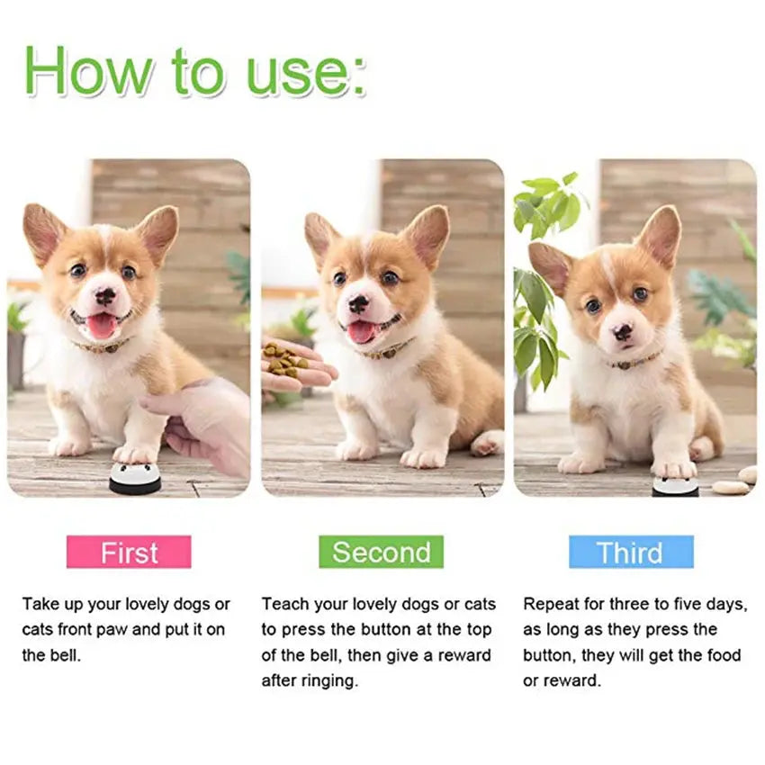 Easy-to-use dog dinner bell for food alerts