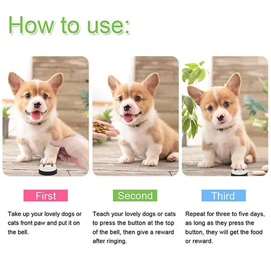 Easy-to-use dog dinner bell for food alerts