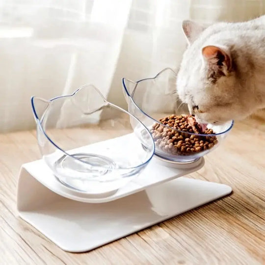 Transparent cat bowls on elevated stand