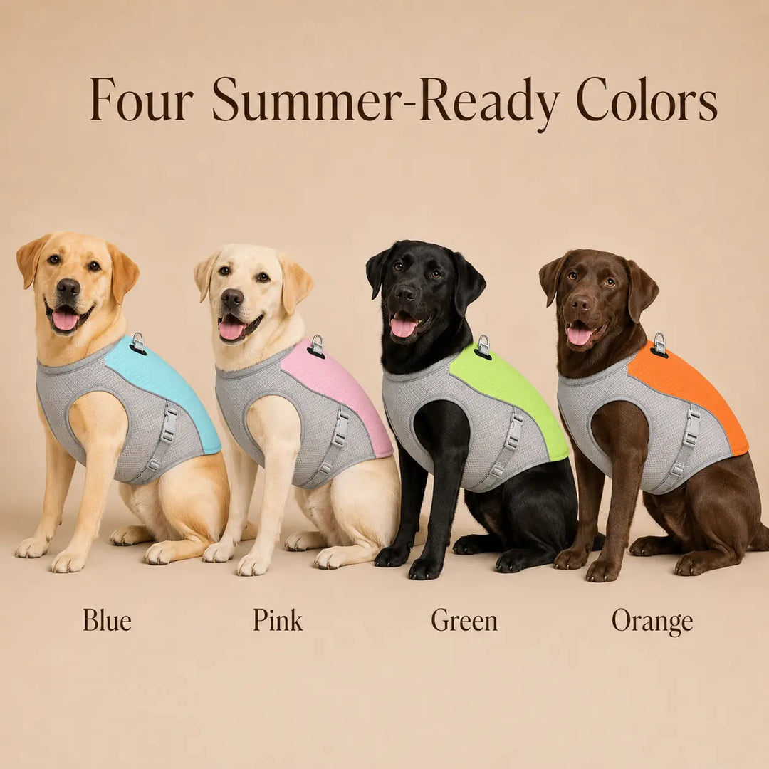 Summer Dog Cooling Vest