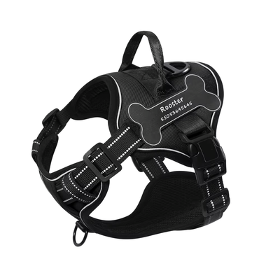 Personalized Canine Comfort Harness