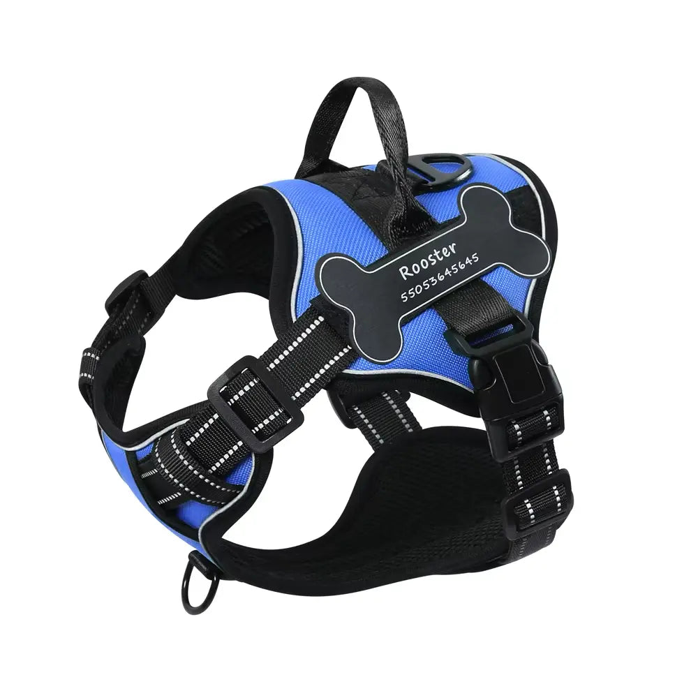 best blue dog harness for walking