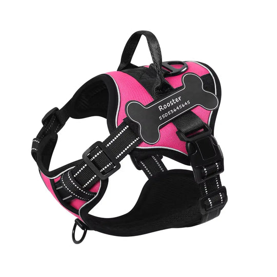 comfortable dog harness