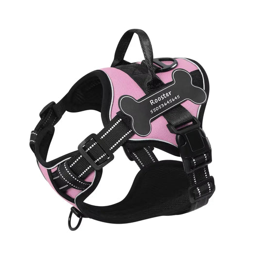 best dog harness with name