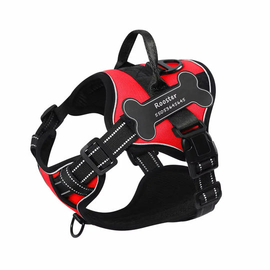 best dog harness for walking