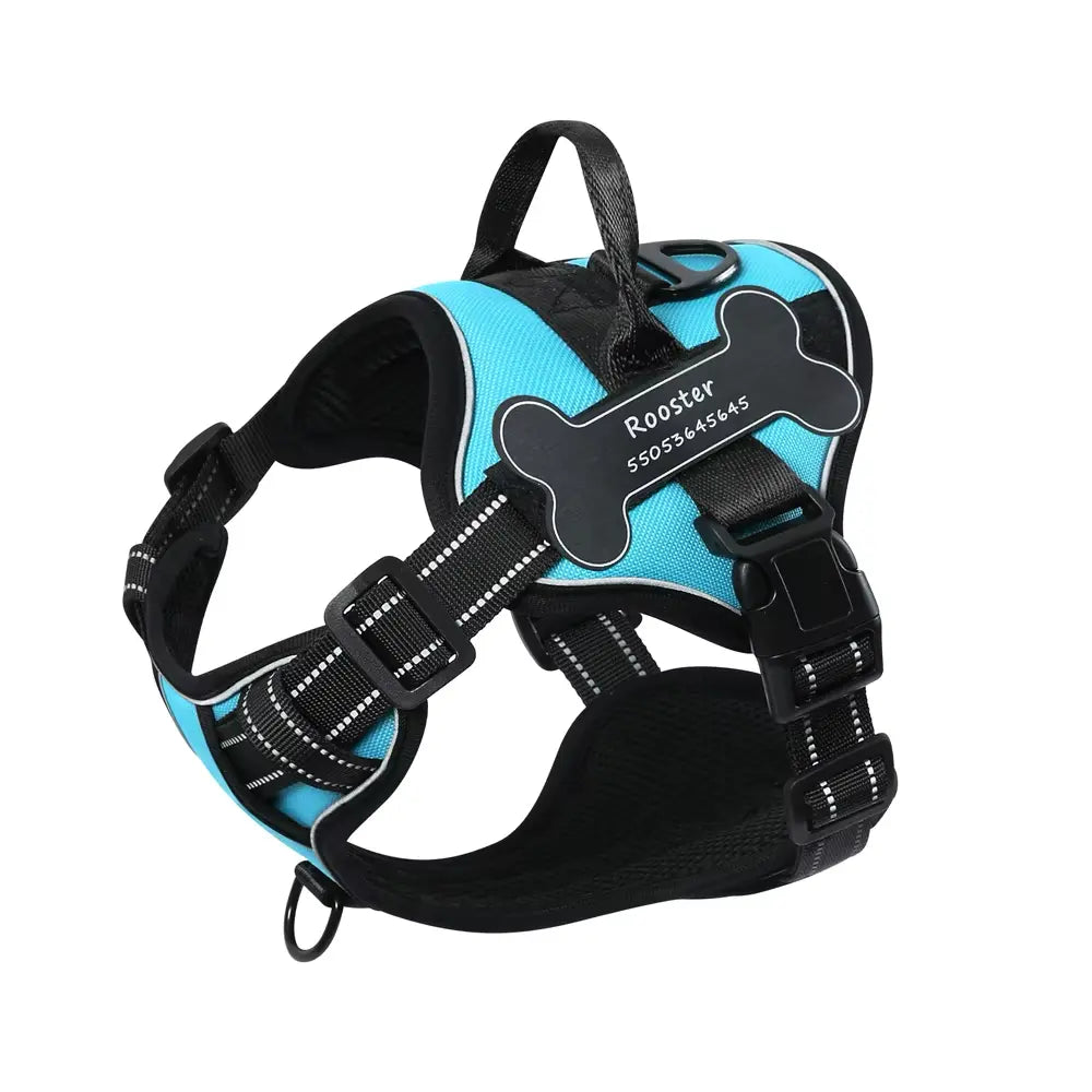 Best dog harness 