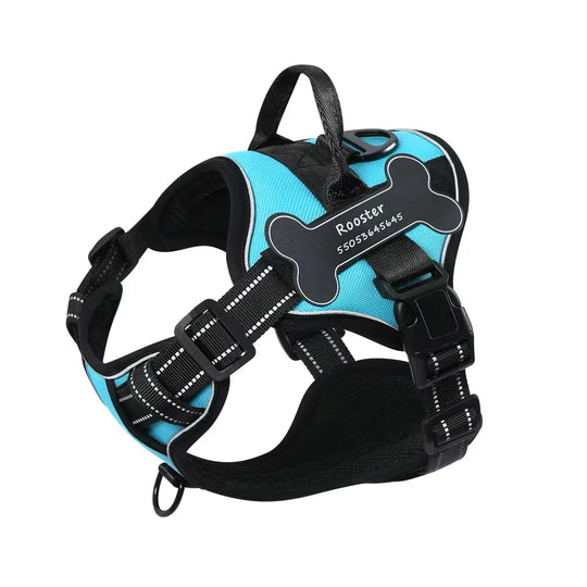 Best dog harness 