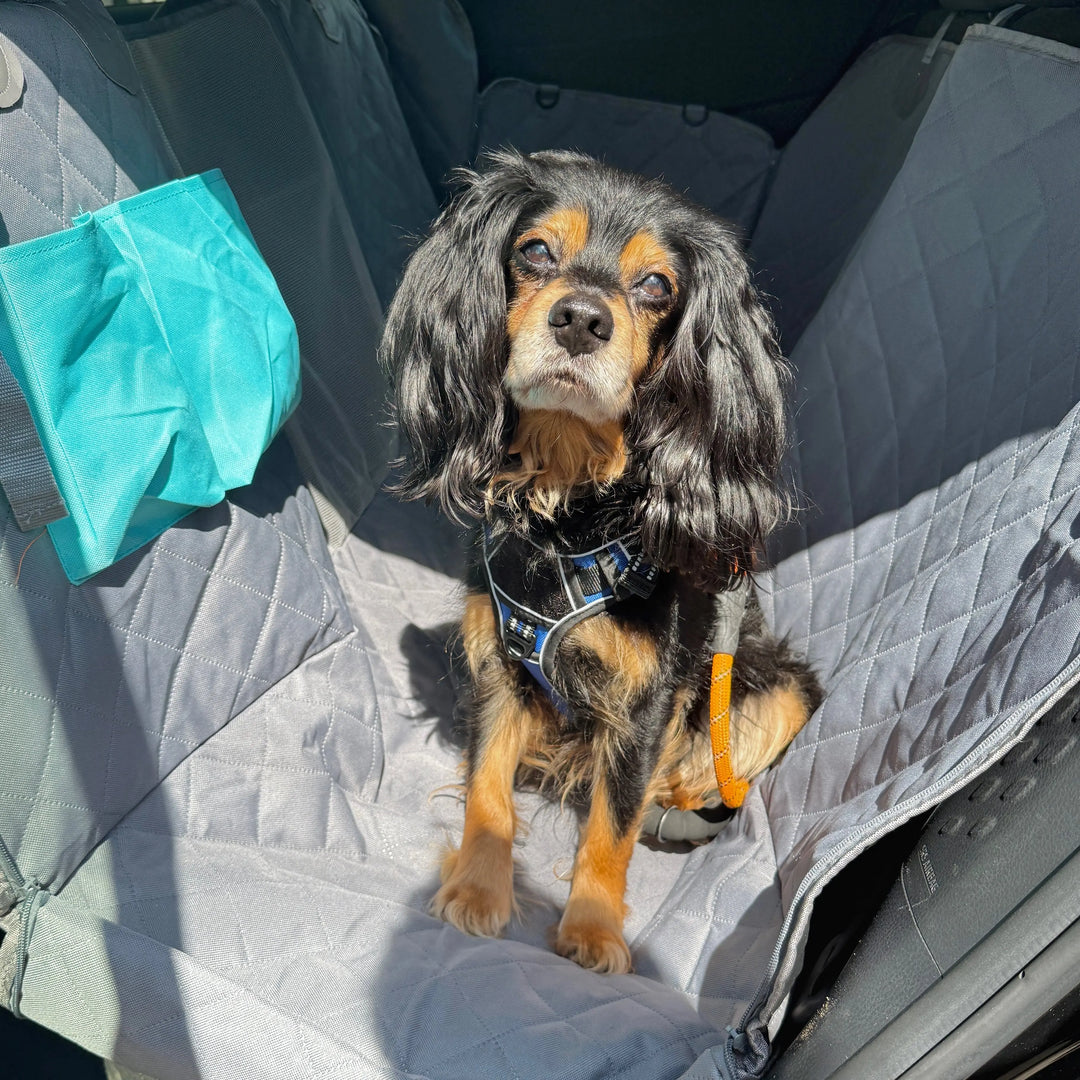 best dog car seat hammock to protect seats from fur and dirt